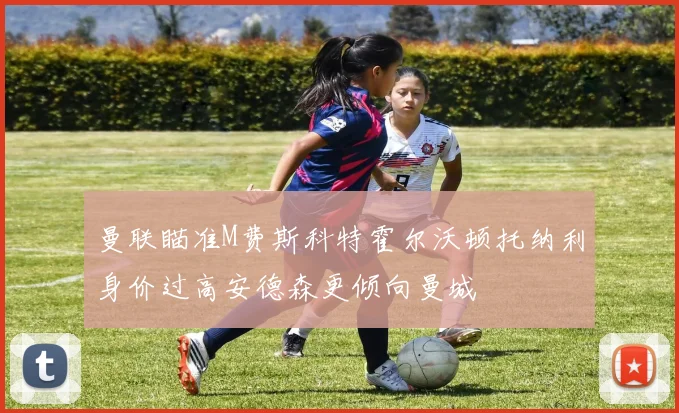 曼联瞄准M费斯科特霍尔沃顿托纳利身价过高安德森更倾向曼城