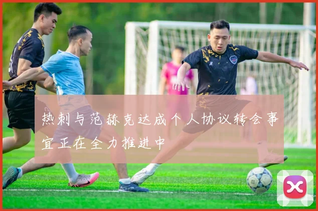 热刺与范赫克达成个人协议转会事宜正在全力推进中